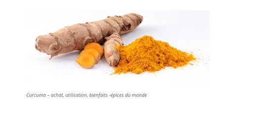 Poudre Curcuma